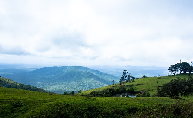 马兹拉维：这场平局更像是一场失利，我们本有机会提升排名